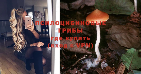 герыч Абаза